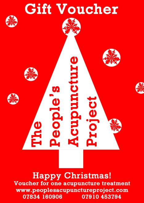 Christmas gift voucher